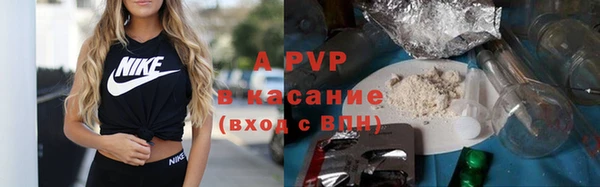 a pvp Бородино