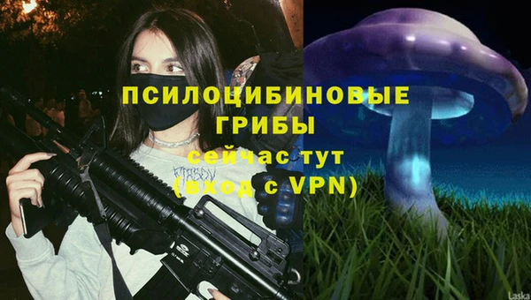 герыч Богородицк
