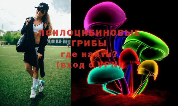 a pvp Бородино