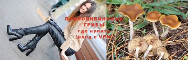 a pvp Бородино