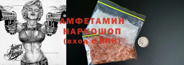 a pvp Бородино