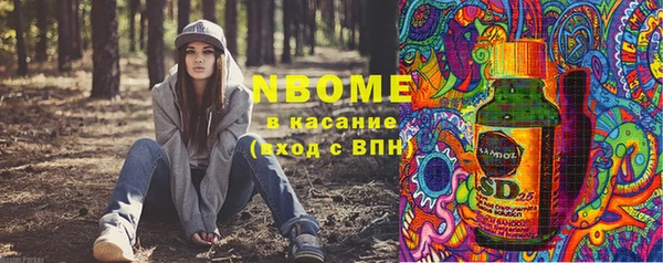 хмурый Богородск